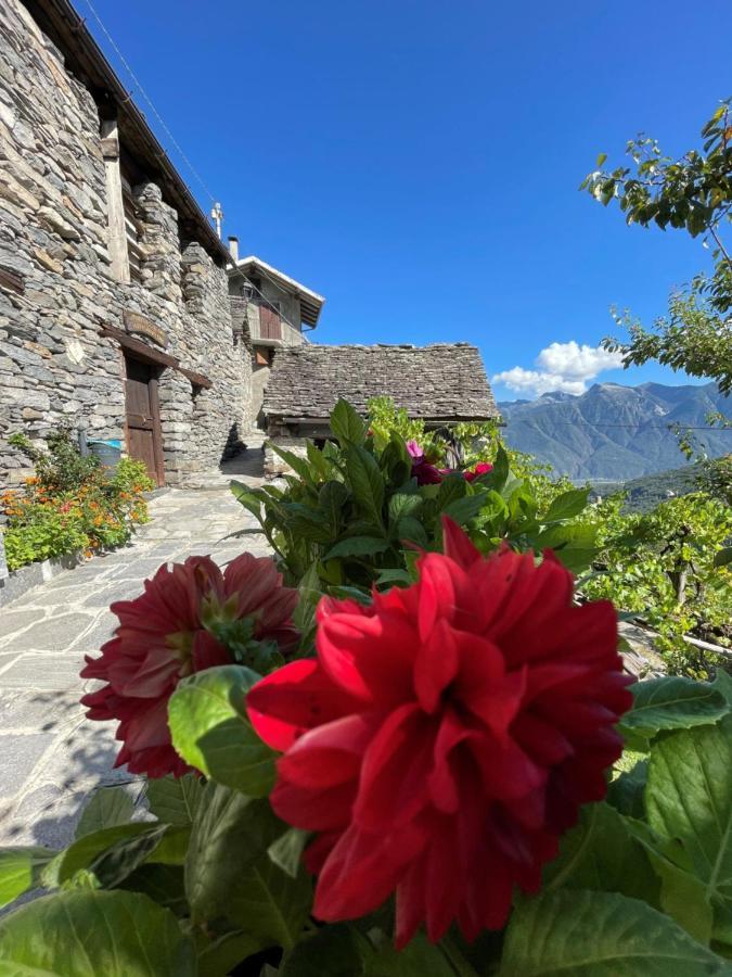 Vila Casa Vacanze La Carbunera Domodossola Exteriér fotografie